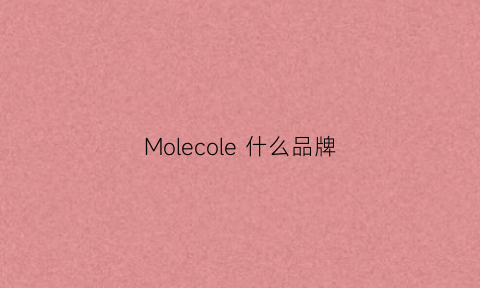 Molecole什么品牌(moleskine什么牌子)